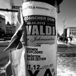 © Skibek Płocki