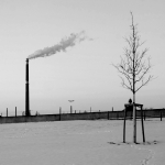 © Skibek Płocki