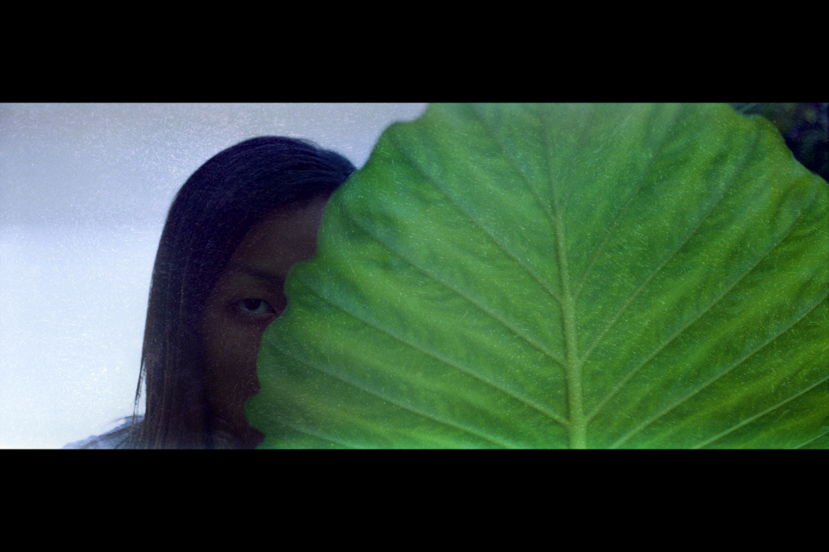 Pentacon SIX | Kodak Vision 2 500T@125 | Tetenal 25*C | Epson V750