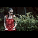 Czerwony Kapturek w Panavision
