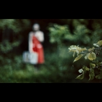 Czerwony Kapturek w Panavision
