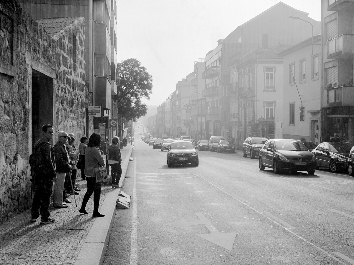 Mamiya 645 PRO TL |Ilford Pan+ 50@18 (1996r) | D-76 1+1, 24*C, 5:15min. | Epson V750