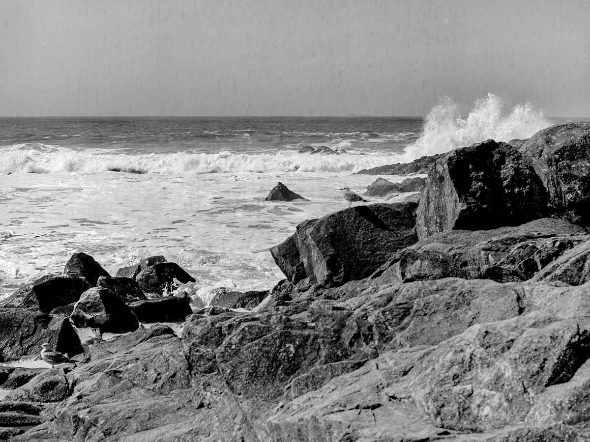 Mamiya 645 PRO TL |Ilford Pan+ 50@18 (1996r) | D-76 1+1, 24*C, 5:15min. | Epson V750