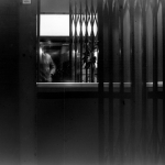 Nikon F5 + Nikkor 50/1.2ai | ORWO PF-2 @25 | Rodinal 1+100 i KBr, semi-stand 60min.| Epson V750