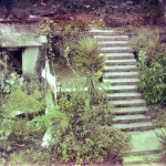 Yashica GSN Electro 35 | Fuji 500T @25 | Tetenal Colortec 20*C 23min. | Epson V750