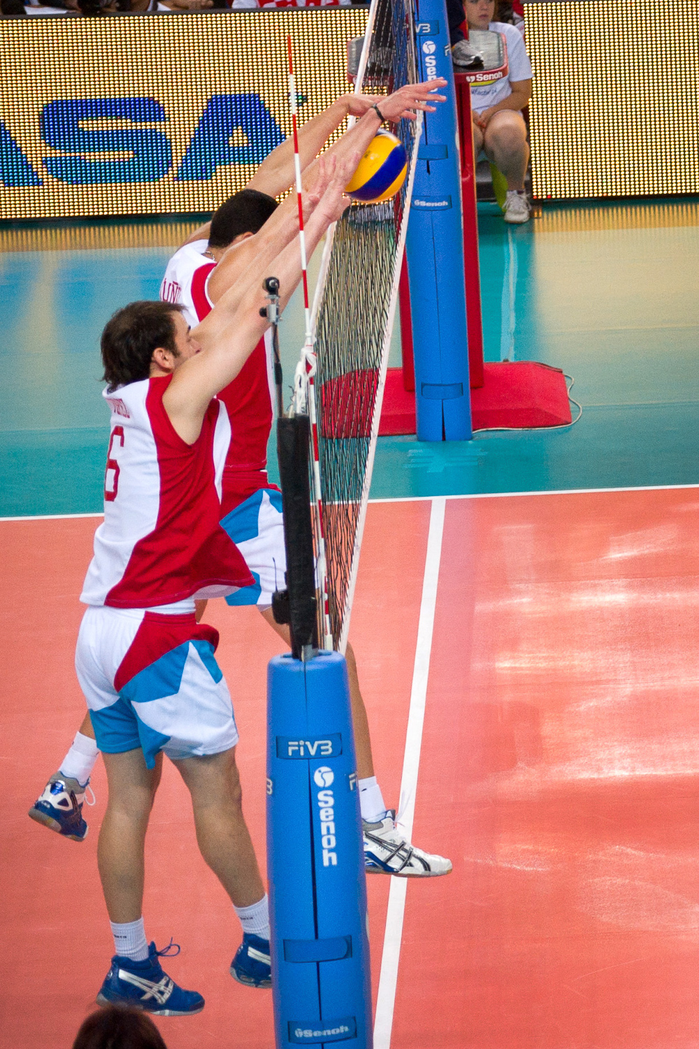 © Skibek Płocki