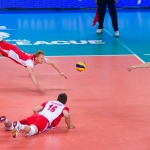© Skibek Płocki