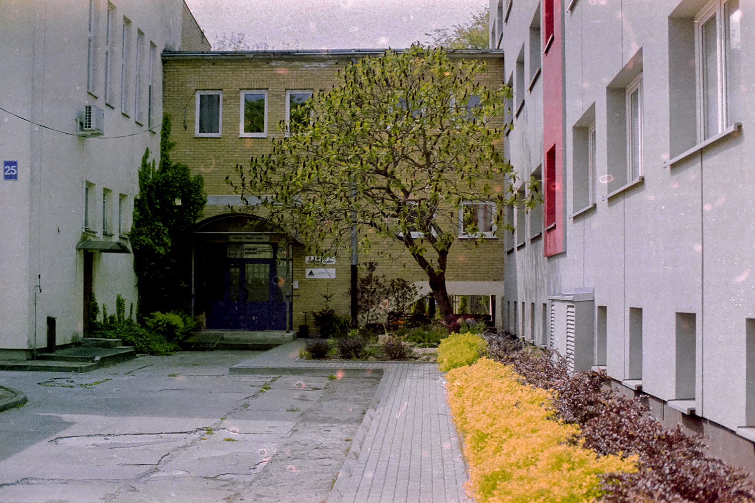 Nikon F5 | Fujifilm F500@6 | ECN-2 24*C 16min.
