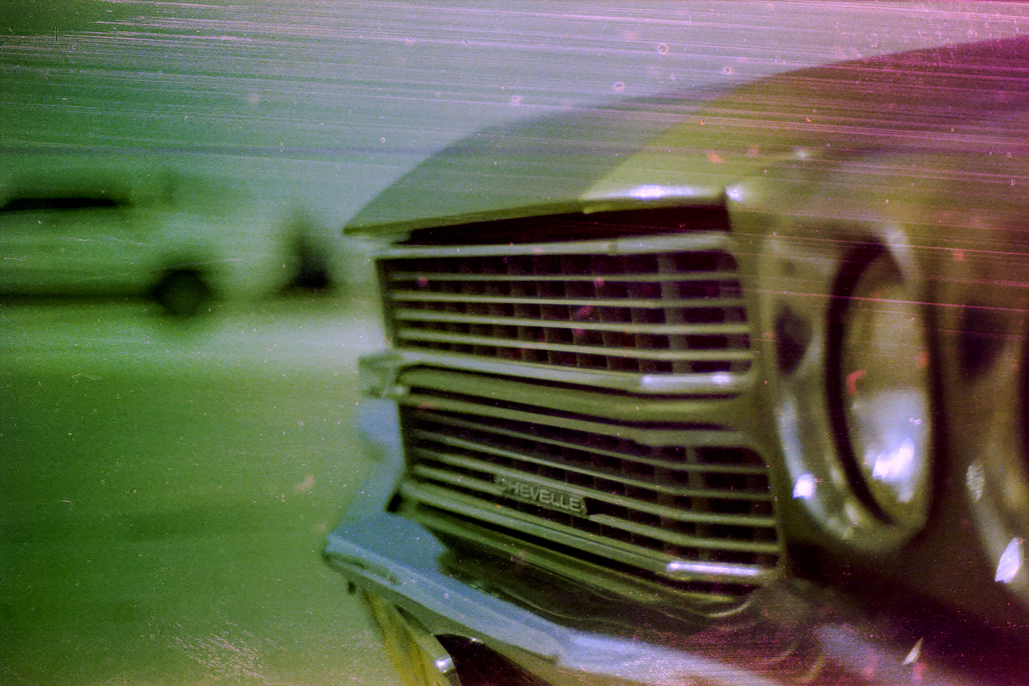 Nikon F5 | Fujifilm F500@6 | ECN-2 24*C 16min.