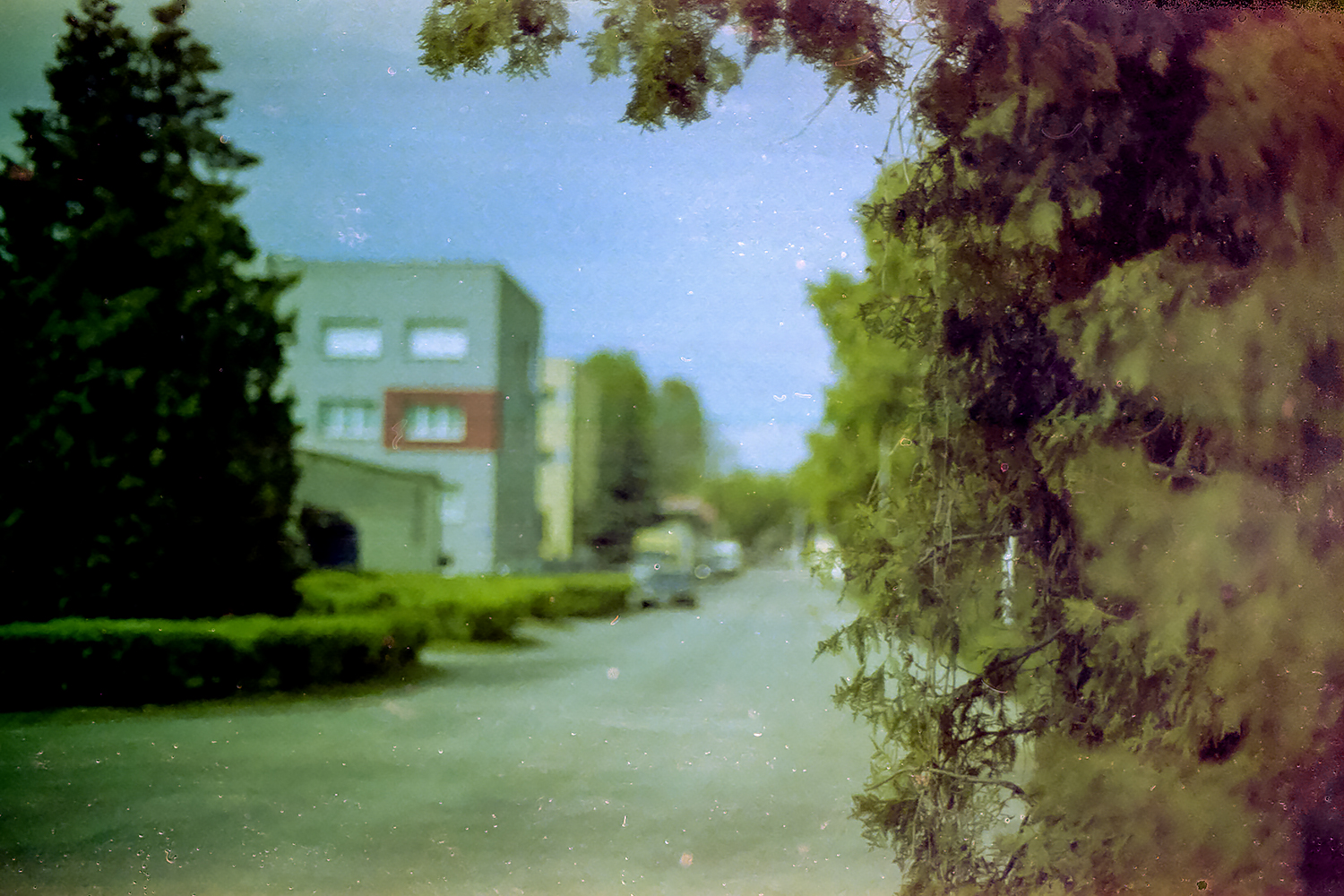 Nikon F5 | Fujifilm F500@6 | ECN-2 24*C 16min.